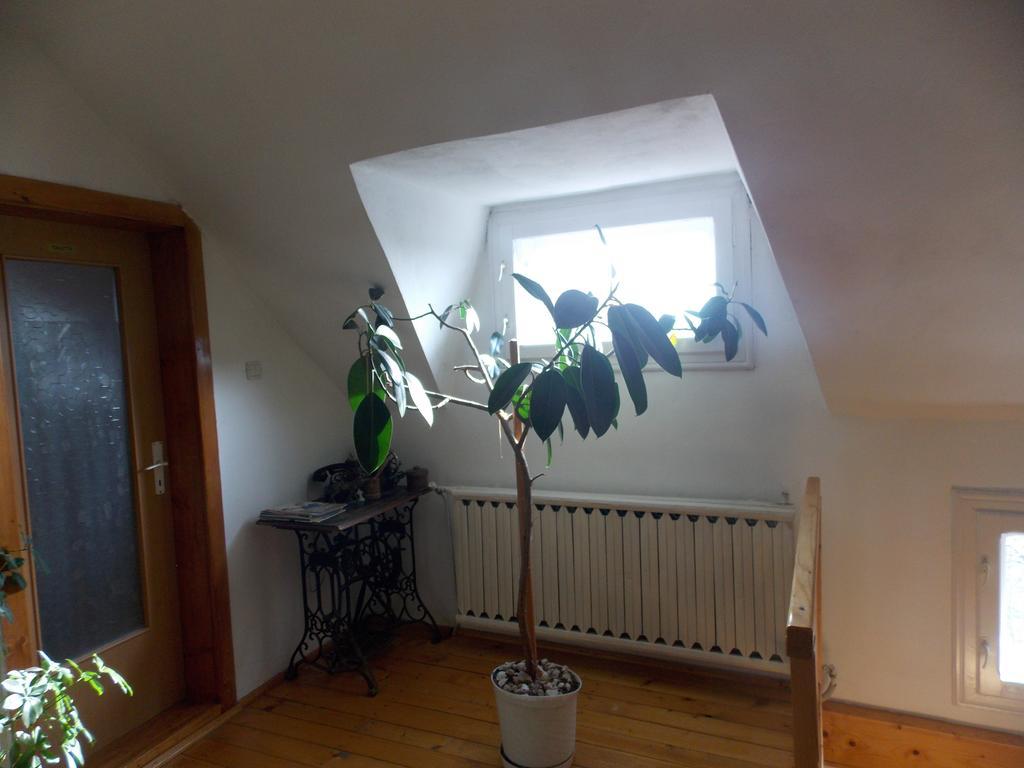 Casa Fortyogo Tîrgu Secuiesc Екстериор снимка